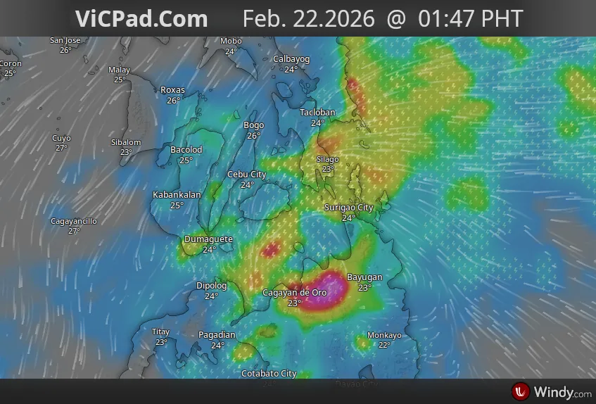 Latest Waehter Overview Image