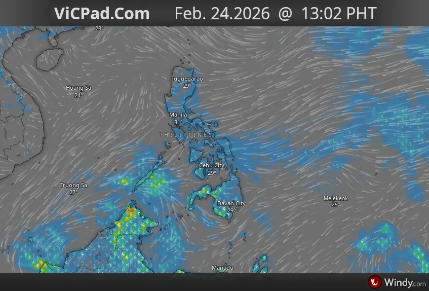Latest Waehter Overview Image