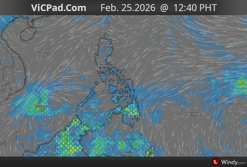 Latest Waehter Overview Image